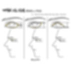 a sketch showing different eye shape