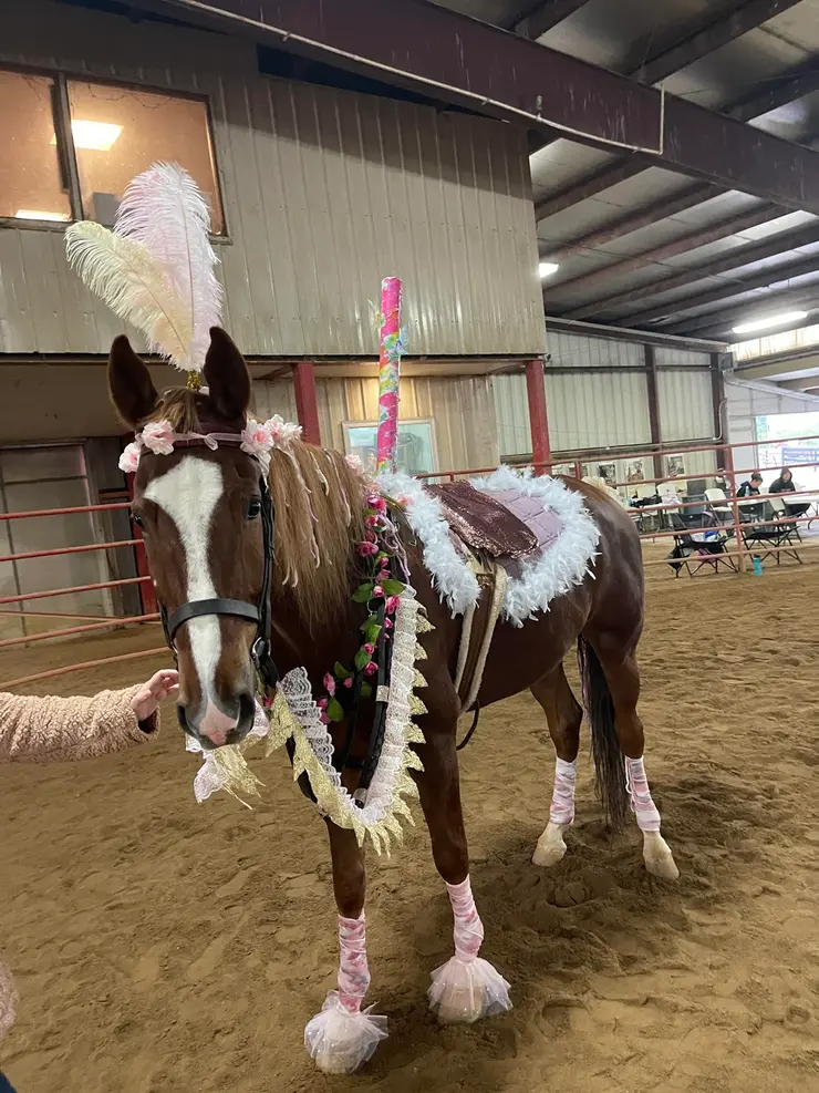horse themed prizes