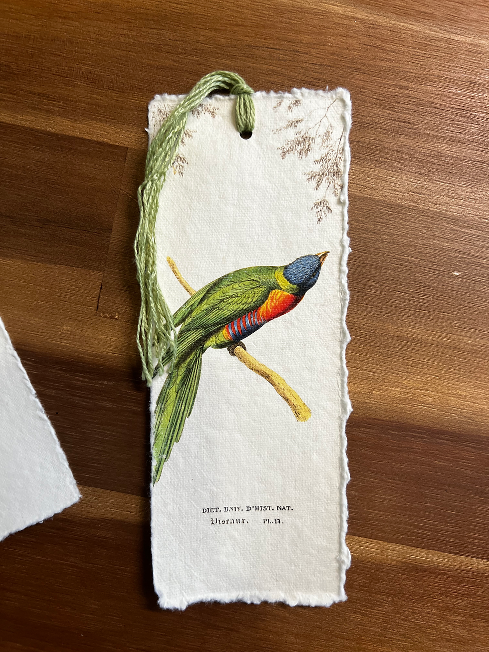 Miniature : Marque page Oiseaux