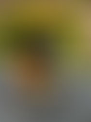 Juggernaut Chardonnay – A Wine with a Bite, Just Like the Debate