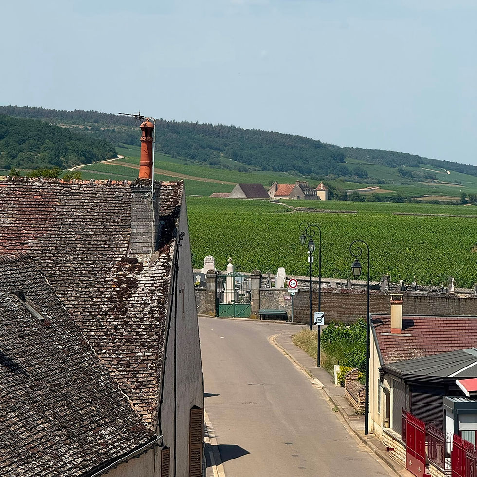 vosne-romanée - borgonha