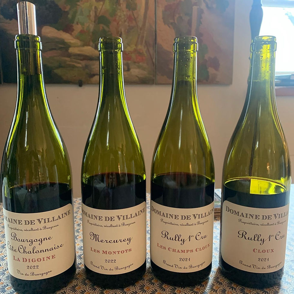 garrafas de vinho borgonha
