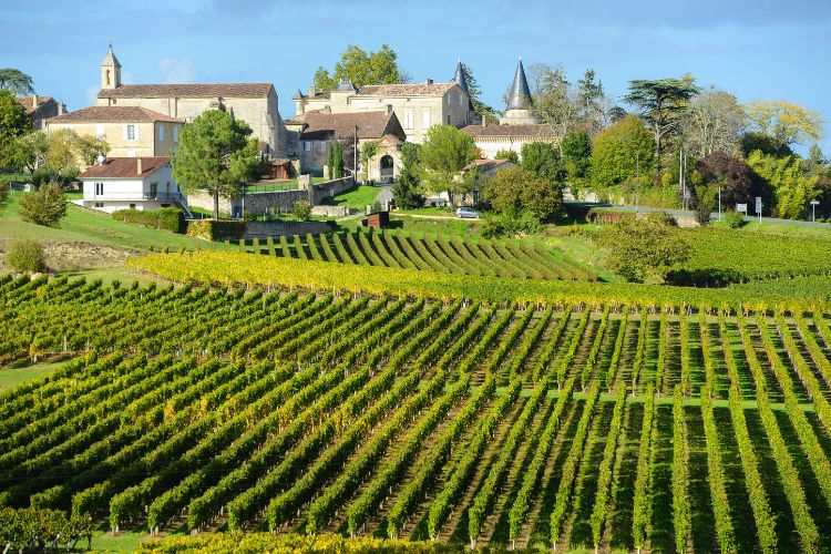 Chateau St. Emilion - Bordeaux