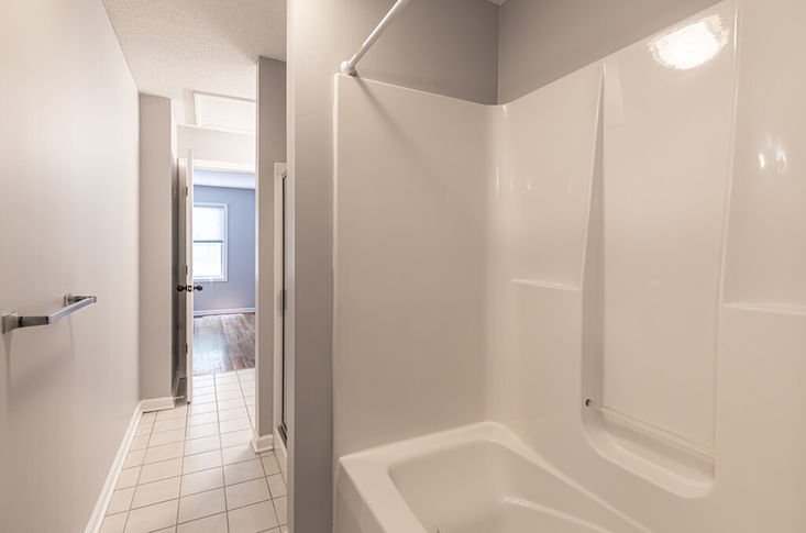 Interior de prados de pinos