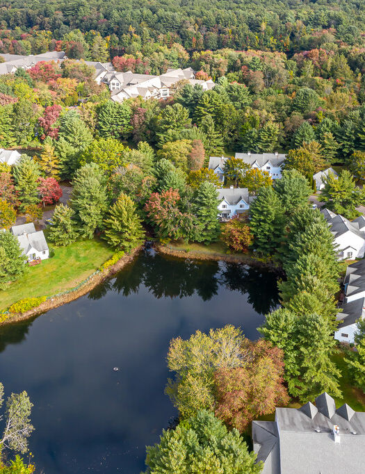 Forest Park Town House Aerial View with Pond