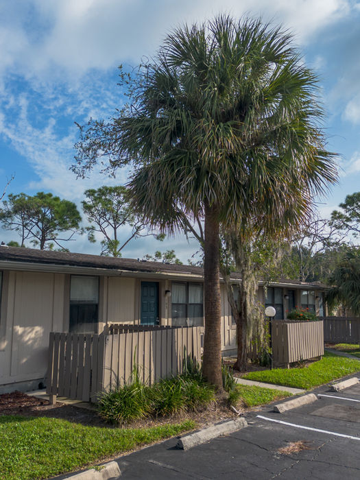 Palm Side Building And Parking Lot