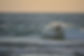 DSC_0325.jpg