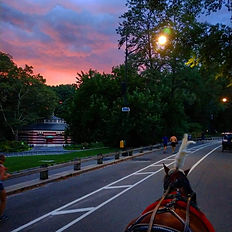 Pink sunset behind Central Park carousel