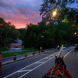 Pink sunset behind Central Park carousel