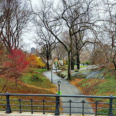 The Dairy during the fall in Central Park.