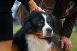 211016_UKC-St-Lazare-EdithLessard3.jpg