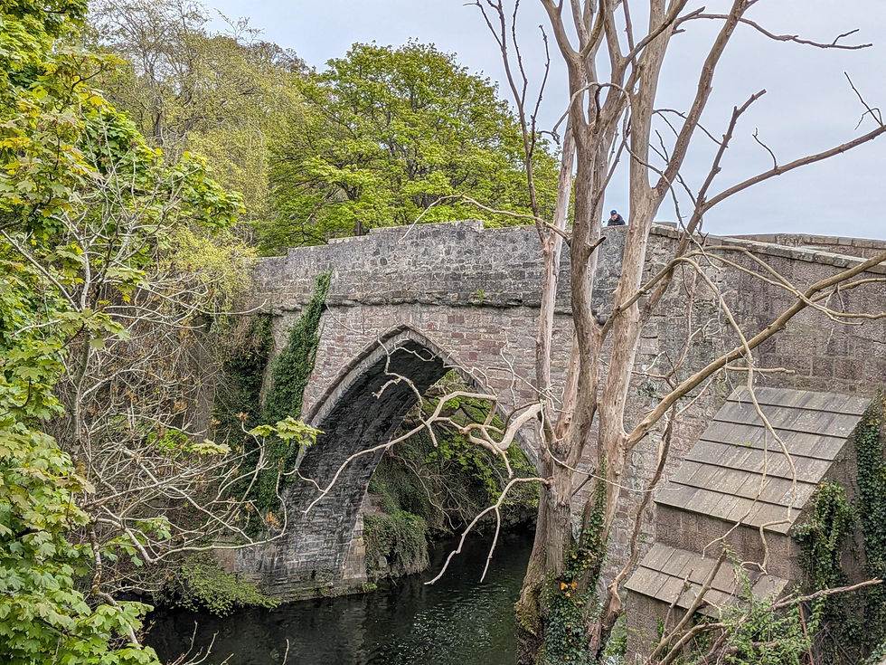 Stone arch bridge over a wooded stream, with a person in blue on top and bare branches in the foreground.