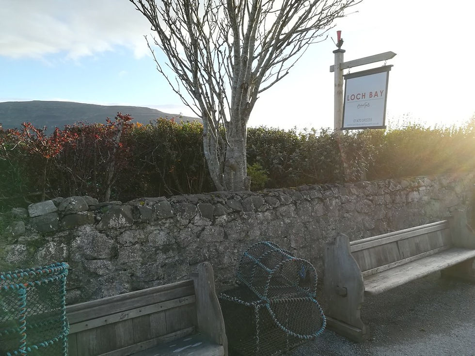 Wooden benches by a stone wall with lobster pots