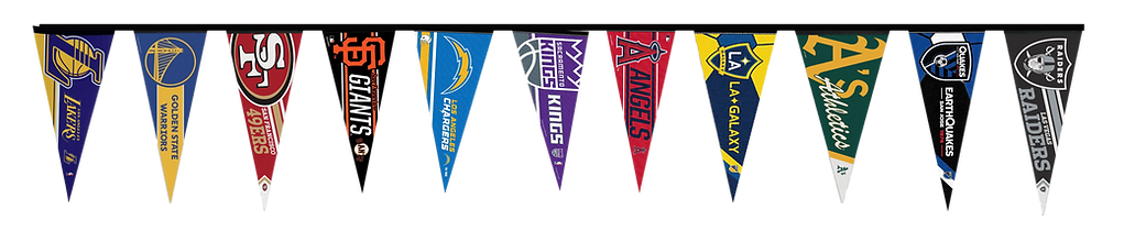 FLAGS_edited.png