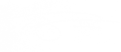 traywhitesig.png