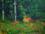 Wildflowers
