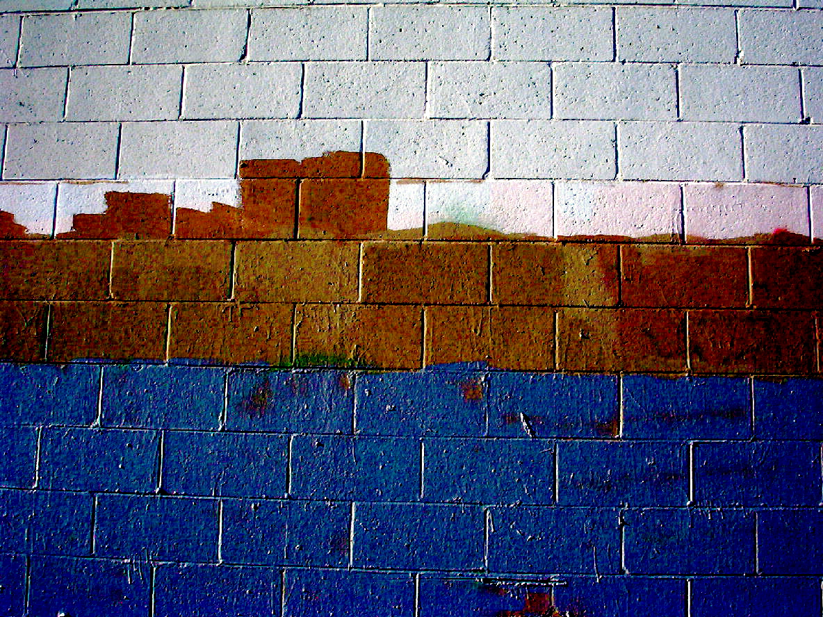 collage wall 1