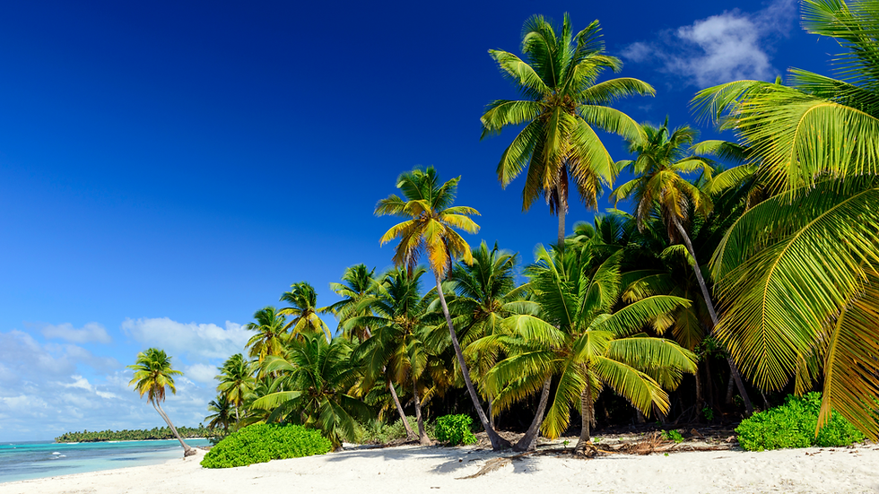 Skarb Invest Real estate Dubai, Tulum, Bali, Thailand, Caribbean, Hawaii