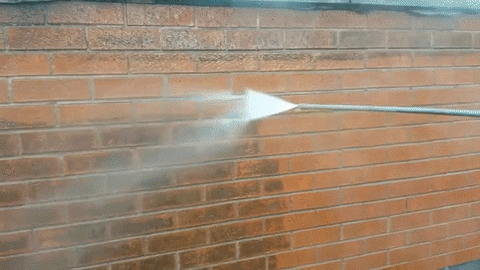 giphy.gif