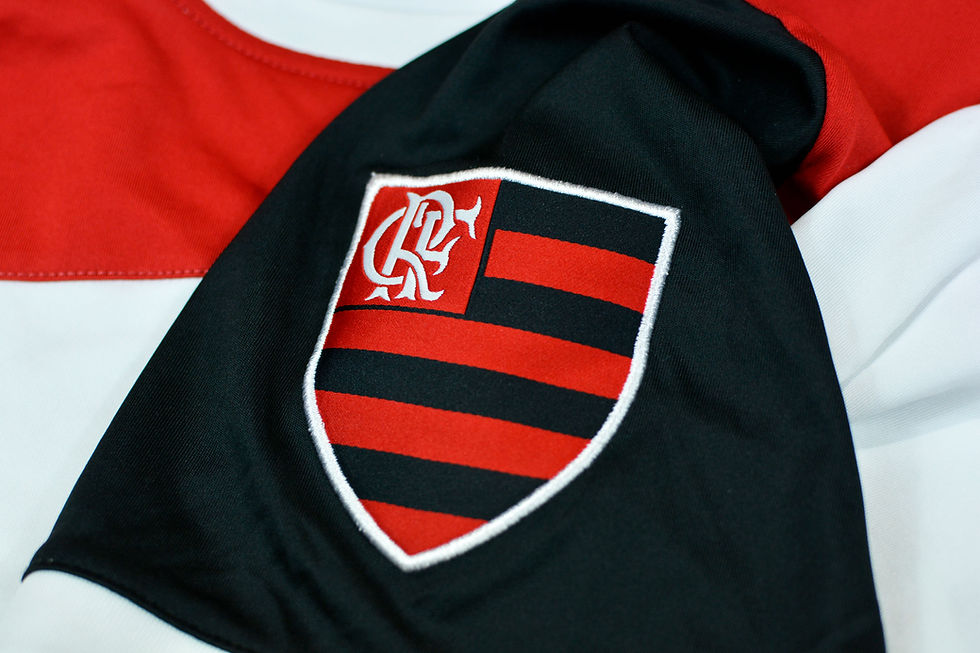 Miniatura: FLAMENGO HEXA 2010