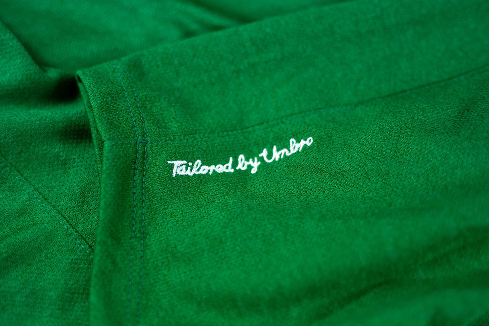 Miniatura: IRLANDA HOME 2012