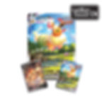 Pokemon TCG Flareon Vmax Premium Collection Englisch