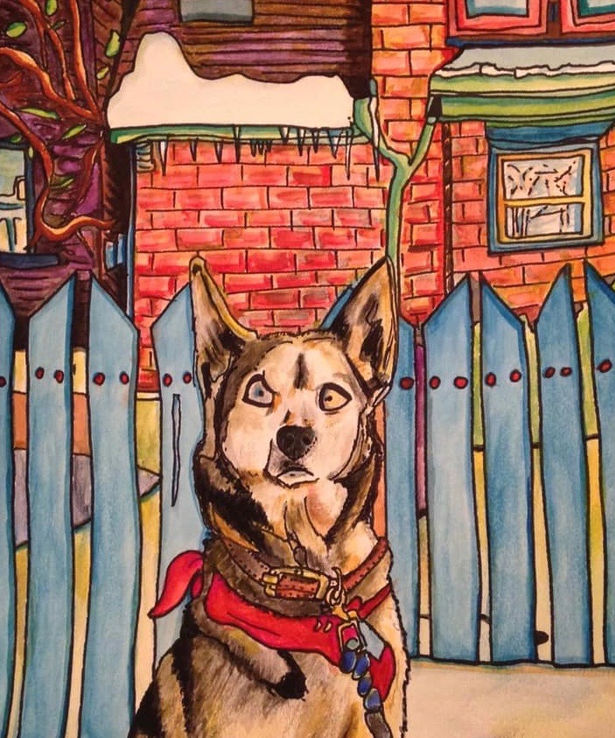 Husky portrait - Jen - Pond