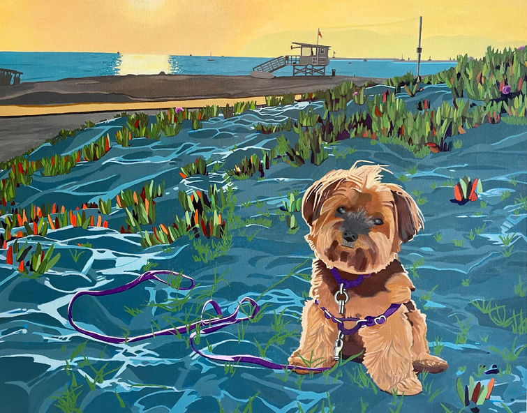 Rockee - Dog portraits - California beach sunset