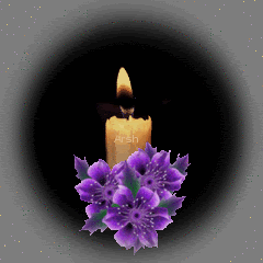 CandlePurpleFlowers.gif