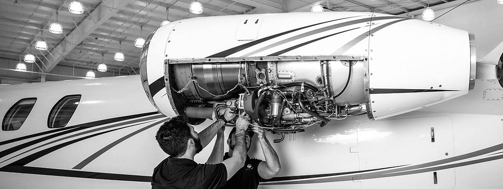 4Z4A0376-2-grey_edited.jpg