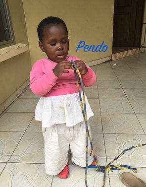 Pendo 03.JPG