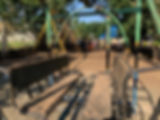 IMG_6175.jpeg