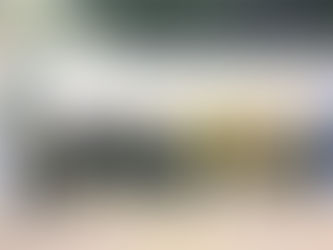 eular 2019 in Madrid, Spain