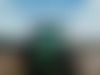 Formalización del sector Ganadero y Forestal