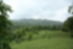 4L9A0716.JPG