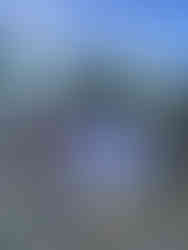 pant for hope, pant for rice