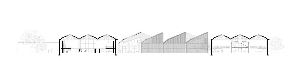 section
