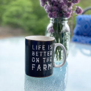 Sprucing Up Our Porch w/$15 Cushions + $4 Spray Paint