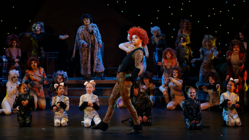 19. Skimbleshanks the Railway Cat