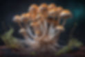Psilocybin_mushrooms_intro_journey.jpg