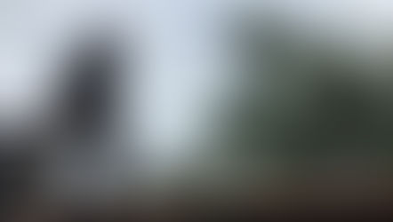 Blasting though the hedgehog to do list :D [HOG NEWS ROUNDUP: AUGUST 2020]