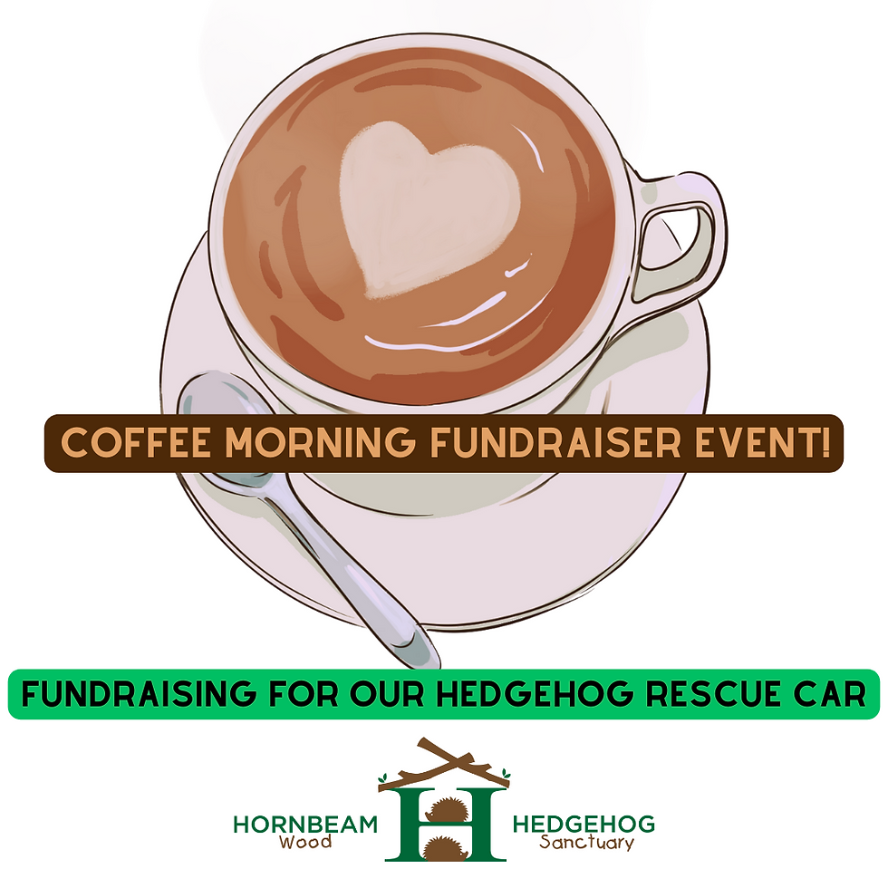 Coffee Morning Fundraiser Event! - Fundraising for our Hedgehog Rescue Car