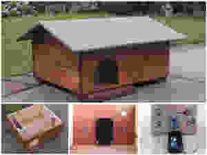 Custom Hedgehog House with built in camera triggers and motion detection!