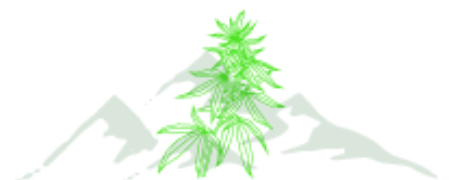 Associação Flor Da Mantiqueira
