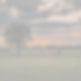 farm pasture sunset_edited.jpg