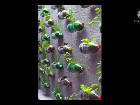 Acontece no Manoel de Barros/ Infantil 2B