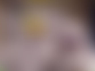 El Legado del Greg Mortimer.