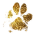 goldglitterpawprint web2.png
