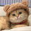 Thumbnail: Build A Pet! - Plush Pet Teddy Bear Hats