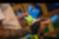 963A2310.jpeg